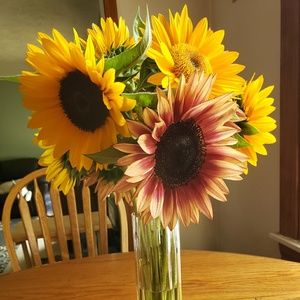 Meet your Posher, Barb